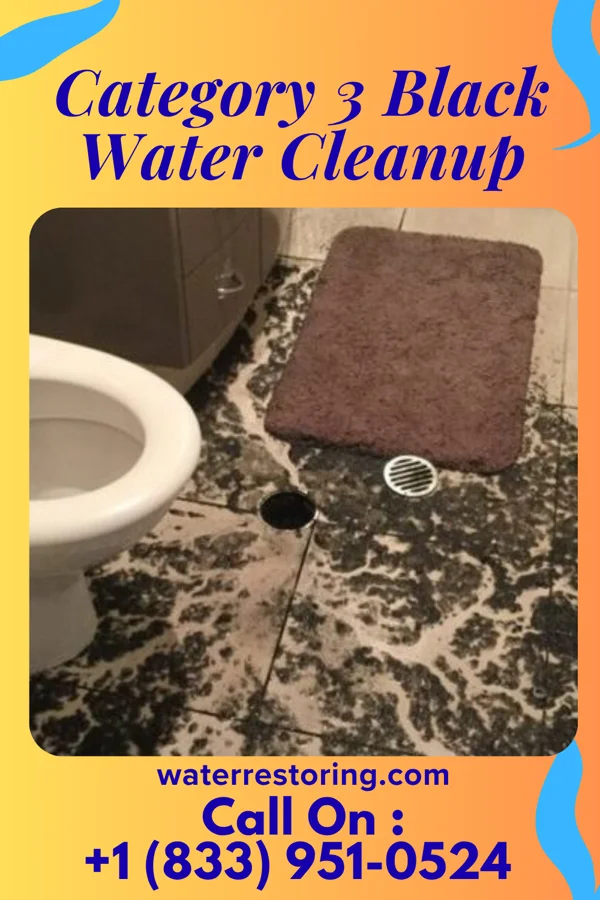 Category 3 Black Water Cleanup in Selby, SD
