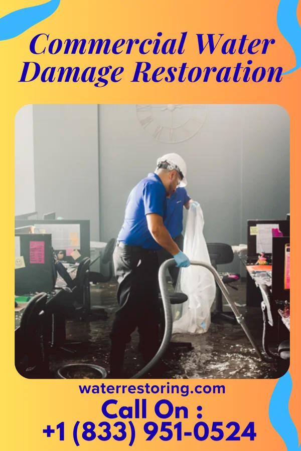 Commercial Water Damage Restoration in Selby, SD